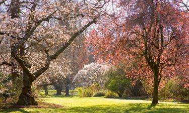 Hotéis em Christchurch