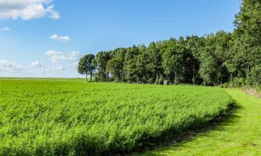 Hotels mit Parkplatz in Finsterwolde