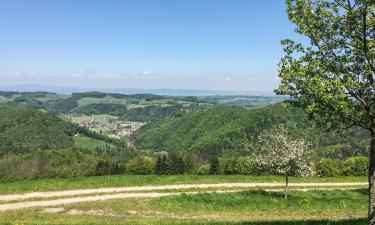 Vacation Rentals in Rabenstein