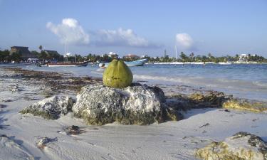 Cabañas y casas de campo en Akumal