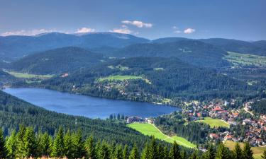 Apartments in Feldberg