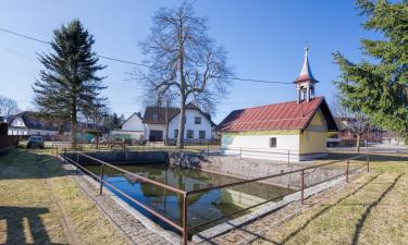 Hotel dengan Parking di Karlov