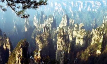 Albergues en Zhangjiajie