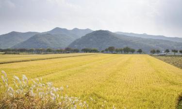 Hoteli s parkiralištem u gradu 'Icheon'