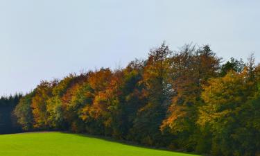 Hotels with Parking in Beerfelden