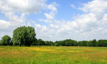 Hoteller i Großburgwedel