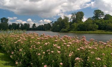 Hoteles en Thalwil