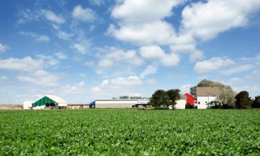 Hotels met Parkeren in De Queen