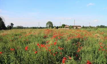 Hôtels pas chers à Albinea