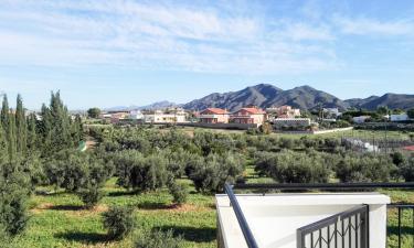 Apartmány v destinácii Palomares