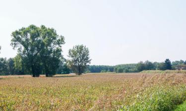 Hoteles económicos en San Martino Siccomario