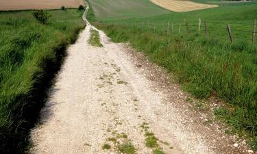 Hotels with Parking in Lambourn