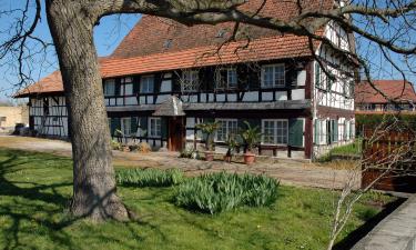 Apartments in Battenheim