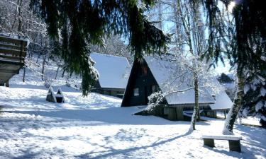 Holiday Rentals in Cierp