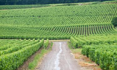 Alojamientos con cocina en Saint-Thierry