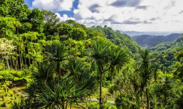 Villas em Gros-Morne