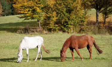 Hotels mit Parkplatz in Westbevern