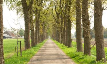 Alquileres vacacionales en Beilen