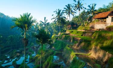 Hoteluri în Ubud