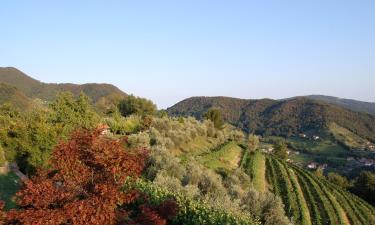 Hotel con parcheggio a Villongo SantʼAlessandro