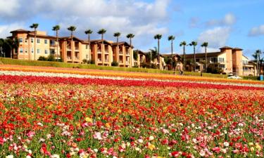 Hotels in Carlsbad