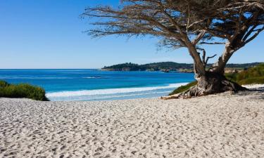 Things to do in Carmel