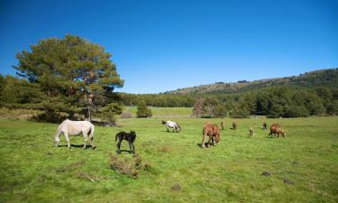 Hotels in Cebreros