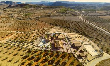 Elche de la Sierra şehrindeki kır evleri