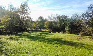 Guest Houses in Őriszentpéter