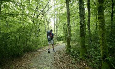 Allotjaments vacacionals a Lantz