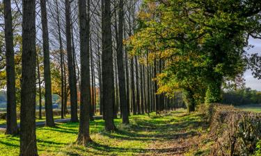 Hotels mit Parkplatz in Cassano Magnago