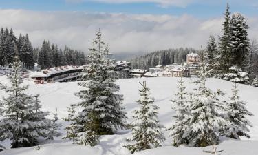 Hotéis em Pamporovo