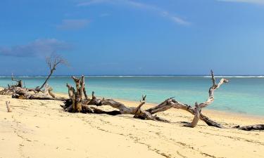 Gili Trawangan şehrindeki oteller