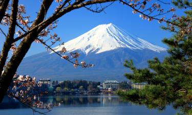富士河口湖的飯店