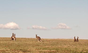 Holiday Homes in Browns Plains