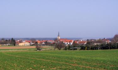 Ferienwohnungen in Groß-Umstadt