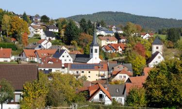 Apartmani u gradu 'Wald-Michelbach'