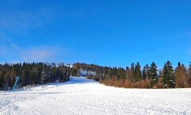 Hoteles en Oryavchyk