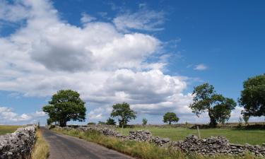 B&B-er i Hayfield