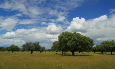 Hoteller i Villafranca de los Barros