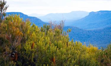 Holiday Rentals in Mount Victoria