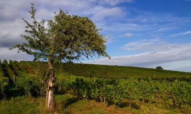 Family Hotels in Edesheim