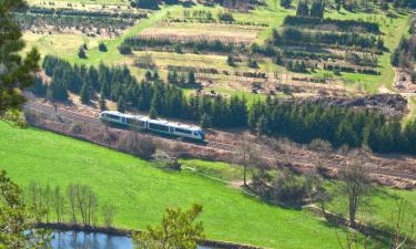 Hotels in Reichenbach im Vogtland