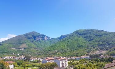 Bed and breakfasts a Sant'Egidio del Monte Albino