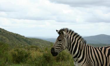 Hoteles en Hluhluwe