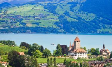 Apartamentos en Spiez