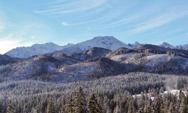 Chalets de montaña en Małe Ciche