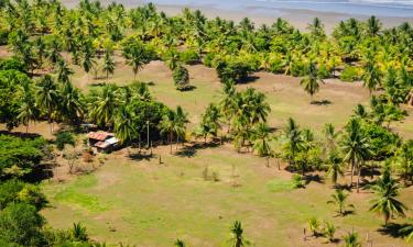 Hoteles con parking en Dominical