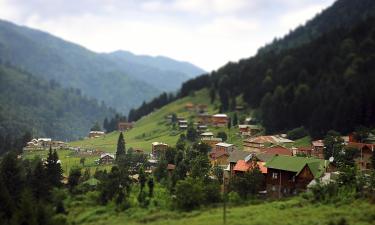 Cottages in Ayder Yaylasi