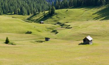 Ski Resorts in Pellizzano